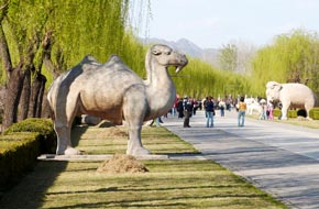 Ming Tombs and Sacred road